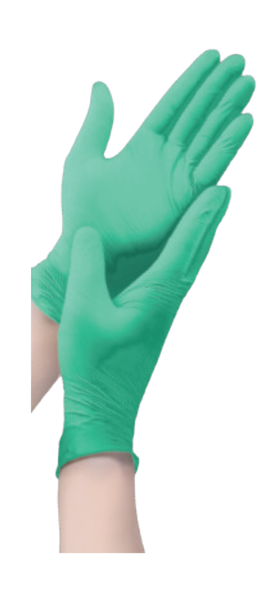 Biodegradable Glove Samples - Promo